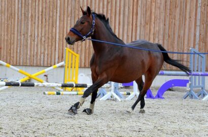 Do czego nosić getry?